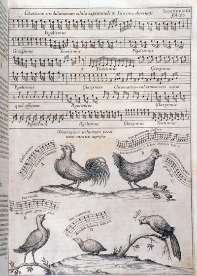 صفحة من موسورجيا (1650) بواسطة فنان غير معروف