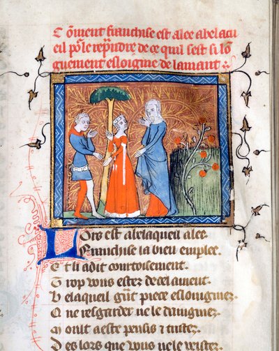 "" الشخصيات في المحادثة "" صفحة مضيئة من المخطوطة "Le Roman de la Rose" بقلم Guillaume de Lorris (حوالي 1200-1238) و Jean de Meun (Meung) (1240-1305) في حوالي 1365 ولاية مكتبات جامعة شيكاغو متحد بواسطة فنان غير معروف