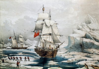Polar Expedition in the Arctic: English and American ships trapped in ice (19th century print) بواسطة فنان غير معروف