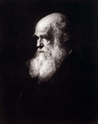 صورة تشارلز روبرت داروين (1809-1882) بواسطة فنان غير معروف