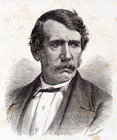 صورة لديفيد ليفنجستون ، المبشر والمستكشف البريطاني (1813-1873) - في "" جولة العالم "، الفصل الثاني. 1875¿ بواسطة فنان غير معروف