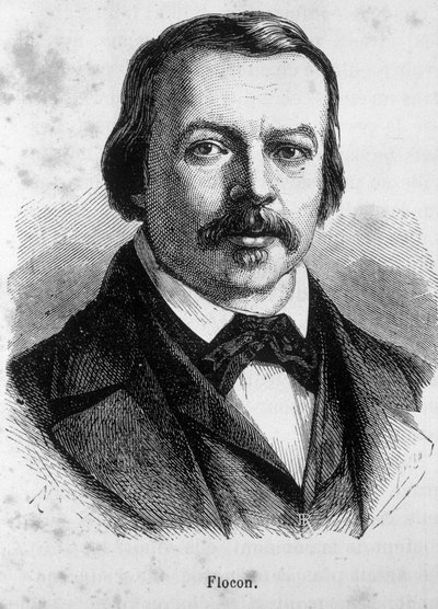 صورة فلوكون ، صحفي وسياسي فرنسي (1800-1866) بواسطة فنان غير معروف