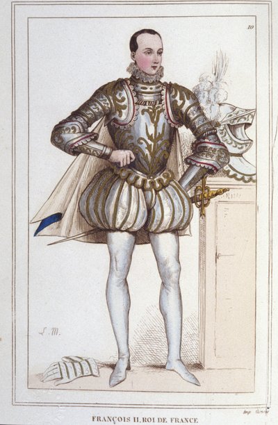 صورة لفرنسوا الثاني (1544 - 1560) ملك فرنسا نقش من عام 1830 بواسطة فنان غير معروف