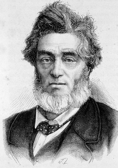 صورة لجول فافر (1809-1880) ، سياسي فرنسي. بواسطة فنان غير معروف