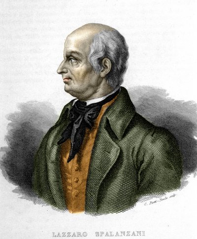 صورة لازارو سبالانزاني (أو سبالانزاني) ، عالم أحياء إيطالي (1729 - 1799) بواسطة فنان غير معروف