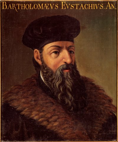 صورة لعالم التشريح والطبيب الإيطالي بارتولوميو يوستاتشي (بارتيليمي يوستاش) (1505-1574) لوحة مجهولة المصدر. القرن السادس عشر بادوفا ، جامعة إيطاليا - صورة لعالم التشريح والطبيب الإيطالي بارتولوميو يوستاتشي (1505-1574). دهان مجهول بواسطة فنان غير معروف