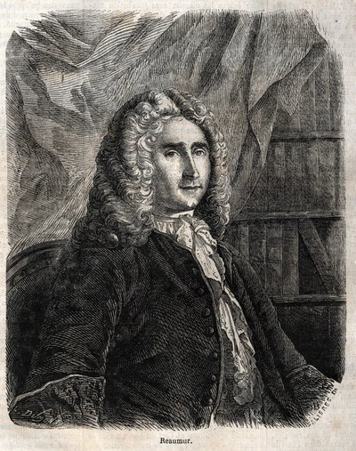 رينيه أنطوان فيرشولت دي ريومور. عالم فيزيائي وطبيعي فرنسي 1683-1757 بواسطة فنان غير معروف