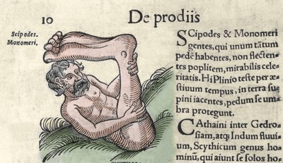 تمثيل وحش Sciapod نقش من "كتاب Prodigiorum ac ostentorum Chronicon Basileae" بقلم ولفارت (كونراد ليكوستين) 1557 بواسطة فنان غير معروف