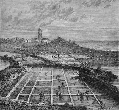 Sauniers في مستنقع ملحي في Bourg de Batz ، بالقرب من Croizic (Brittany) خلال فترة Saunage. في "" عجائب الصناعة "للويس فيغير. بواسطة فنان غير معروف