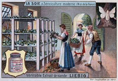 Silk: silk workshop in the south of France, Liebig publicity, v. 1895 بواسطة فنان غير معروف