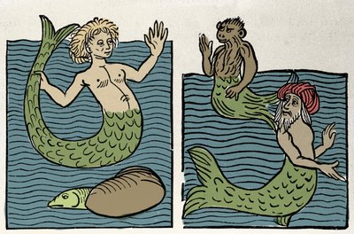 Sirene or Virgin of the Sea, Monkey and Sea Turk. Engraving from “Hortus sanitatis”” بواسطة فنان غير معروف