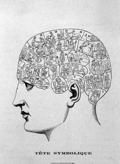 رأس رمزي. رسم توضيحي من كتاب تشارلز روفين لعام 1873 La Tête humaine ، دراسات مصورة لعلم فراسة الدماغ وعلم وظائف الأعضاء مطبقة على الشخصيات الشهيرة باريس 1873 بواسطة فنان غير معروف