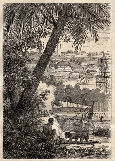الرحلة الاستكشافية إلى الأراضي الجنوبية (1800-1803) بقلم نيكولاس بودان (1754-1803): منظر لسيدني (أستراليا) - رسم توضيحي من "البحارة العظماء في القرن الثامن عشر" بواسطة فنان غير معروف
