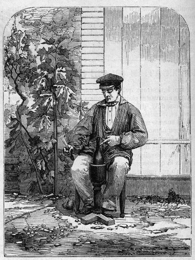 تعبئة نبيذ الشمبانيا في زجاجات. نقش من عام 1864. بواسطة فنان غير معروف