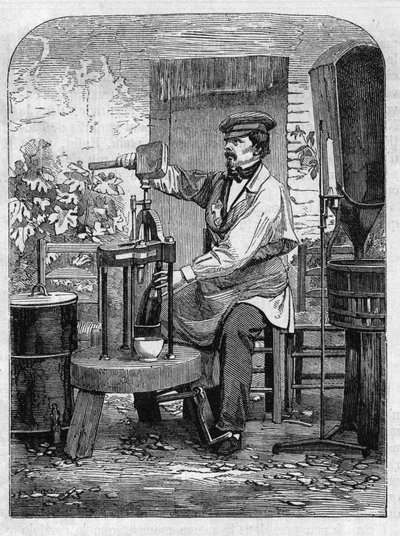 تعبئة نبيذ الشمبانيا في زجاجات. نقش من عام 1864. بواسطة فنان غير معروف