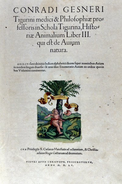 واجهة المجلد الثالث من تأليف هيستوريا أنيماليوم بقلم كونراد جيسنر (1516-1565) ، تيغوري بواسطة فنان غير معروف