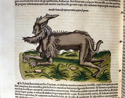 The Manticore من تاريخ الحيوانات بقلم كونراد جيسنر ، زيورخ 1560. الموقع Nazionale Braidense. ميلان بواسطة فنان غير معروف
