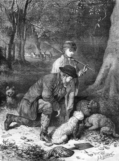 الكمأ: نقش من عام 1870. بواسطة فنان غير معروف