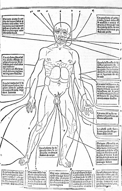 هذه الصورة توضح اماكن الجسم او ممارسة النزيف حسب الالم. رسالة في الطب لجيرولامو كاردانو (كاردانوس هيرونيموس) ، فلورنسا بواسطة فنان غير معروف