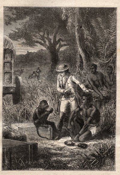 رحلة دانس لا كافريري (جنوب إفريقيا) (1781) بقلم فرانسوا ليفايان (لو فيلان) (1753-1824): ليفايان وقرده ديغوستاتور مايتري كيس ، الذي يتذوق الفاكهة والجذور من أجل التحقق من أنها صالحة للأكل - رسم توضيحي مأخوذ من "" ليه جرا بواسطة فنان غير معروف