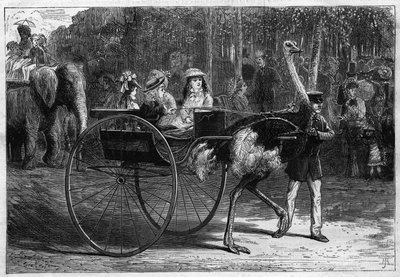 المشي على ظهر فيل وأطفال في كاريولا يجرهم أوسترياس. حديقة التأقلم في Bois de Boulogne في باريس بواسطة فنان غير معروف