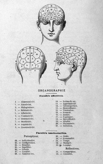 رسم توضيحي من كتاب تشارلز روفين لعام 1873 Organographie La Tête humaine ، دراسات مصورة لعلم فراسة الدماغ وعلم وظائف الأعضاء المطبقة على الشخصيات الشهيرة باريس 1873 بواسطة فنان غير معروف