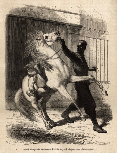سباهي سنغالي (فارس) في سانت لويس (سانت لويس). نقش لتوضيح رحلة بحرية على ساحل إفريقيا ، قام به نائب الأدميرال فلوريو دي لانجل ، في عام 1868 ، نُشر في "" Le Tour du monde "" "1872 ، تحرير إدوارد شارتون ، طبعة Hachette ، باريس. بواسطة فنان غير معروف