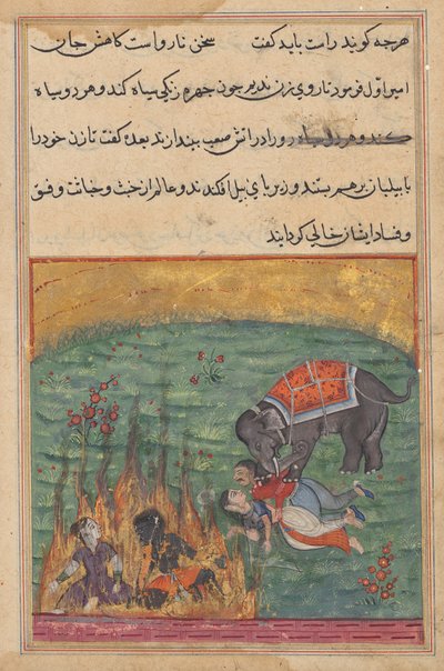 كعقوبة ، ألقيت زوجة المهرج والزنكي في النار وداس فيل زوجة الأمير والسائق ، من توتي ناما (حكايات ببغاء) ، الليلة الثانية والعشرون بواسطة فنان غير معروف