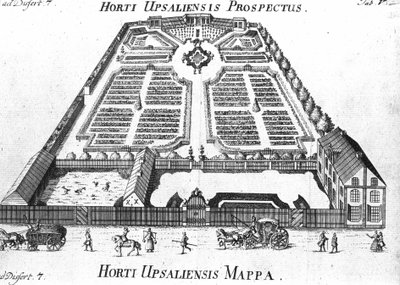 الحديقة النباتية - خطة HORTI UPSALIENSIS المستقبلية والخطة. بواسطة فنان غير معروف