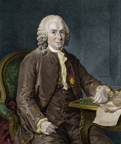 كارل فون ليني عالم الطبيعة والكاتب السويدي (1707 - 1778). بواسطة فنان غير معروف