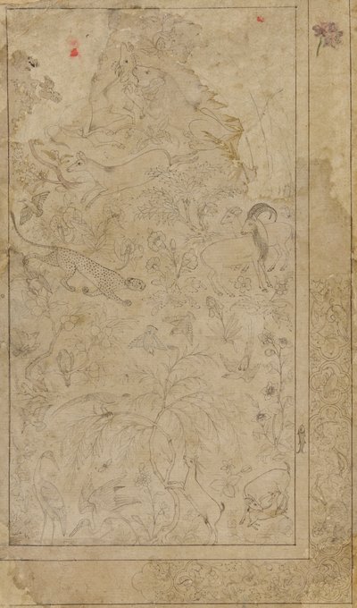 رسم الحيوانات والنباتات بواسطة فنان غير معروف