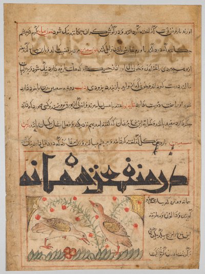 ورقة من منافع الحيوان الفارسية لأبي سعيد عبيد الله بن جبريل بن بختيشو (توفي 1058-1068) (الظهر) بواسطة فنان غير معروف