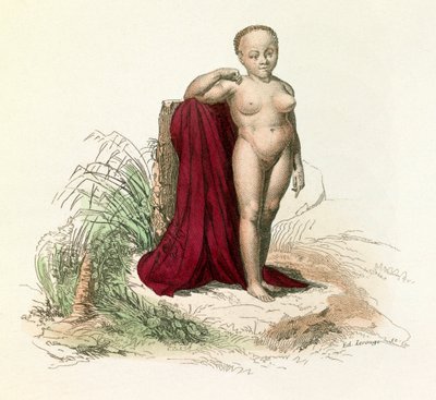 رسم توضيحي من كتاب "الأعمال الكاملة لبوفون": التاريخ الطبيعي للإنسان: الزنجي الأبيض (نقش) بواسطة فنان غير معروف