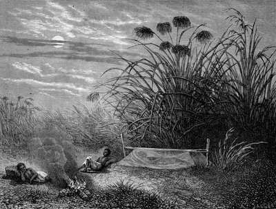 في Masoumbo: Livingstone Mosquito Net - "" رحلة ليفينجستون الأخيرة 1866-1873 "في" "Tour du Monde" ، الفصل الثاني. 1875 بواسطة فنان غير معروف