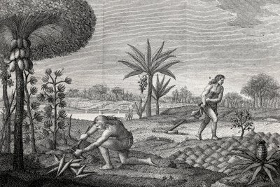 السكان الأصليون يعملون في الأرض في حوض Orenoque في كولومبيا. نقش 1780 بواسطة فنان غير معروف