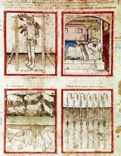 يفسر جوزيف أحلام صانع السلة الذي ينهي قطع رأسه. في أعلى اليمين ، يحلم الفرعون بالأبقار السبع السمينة ، وهاجس سنوات الوفرة والأبقار السبع الهزيلة من سنوات الجوع ، مصغر مأخوذ من مجلد مخطوطة 212 بواسطة فنان غير معروف