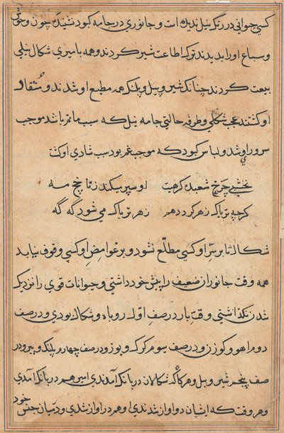 صفحة من حكايات ببغاء (توتي-ناما): صفحة نصية بواسطة فنان غير معروف