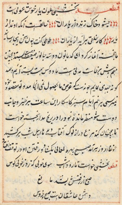 صفحة من حكايات ببغاء (توتي-ناما): صفحة نصية بواسطة فنان غير معروف