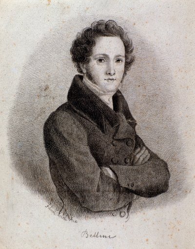 Portrait of italian composer Vincenzo Bellini (engraving. 19th century) بواسطة فنان غير معروف