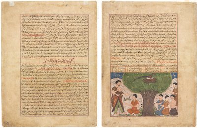 صفحة النص ، نثر فارسي (وجه) ؛ قصة آدم عليه الصلاة والسلام وبنوه ونسله (ظهر) بواسطة فنان غير معروف