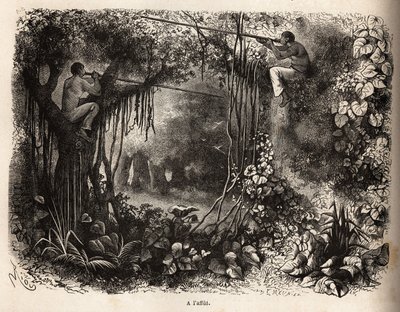إن هنود ياهوا في بيرو يبحثون عن الطرائد والجثث في الأغصان وأسلحة السارباكان ذات السهام المسمومة. نقش لتوضيح الرحلة من المحيط الهادئ إلى L