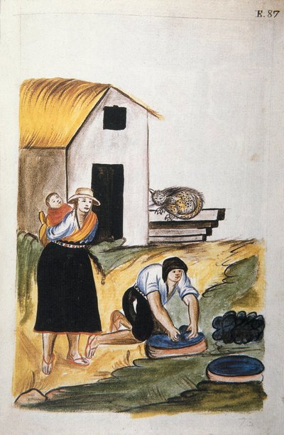 صباغة الصوف ، من كتاب "تروخيو ديل بيرو" أو "كوديس مارتينيز كومبانيون" ، بقلم بالتازار مارتينيز كومبانيون إي بوجاندا ، أسقف تروخيو (1782-1785) بواسطة فنان غير معروف