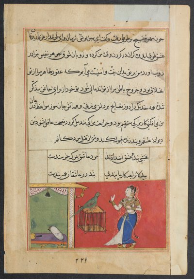 يخاطب الببغاء خوجاستا في بداية الليلة السابعة والأربعين ، من توتي ناما (حكايات ببغاء): الليلة السابعة والأربعون بواسطة فنان غير معروف