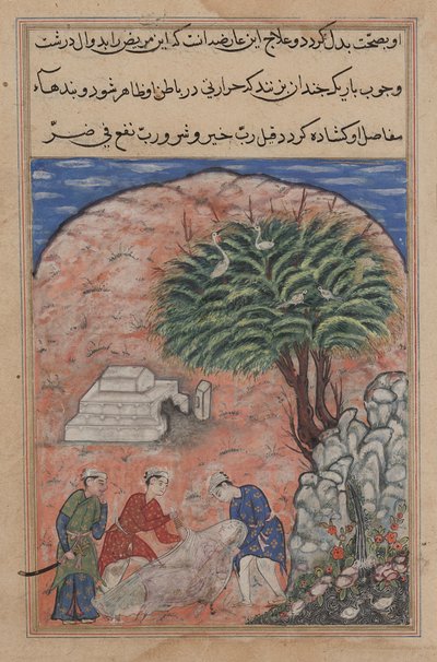يأخذ الخاطفون ابنة المخلص من قبرها بعد كسرها ، عندما يكتشف الطبيب أنها لا تزال على قيد الحياة ، من Tuti-nama (حكايات ببغاء): Twentieth Night بواسطة فنان غير معروف