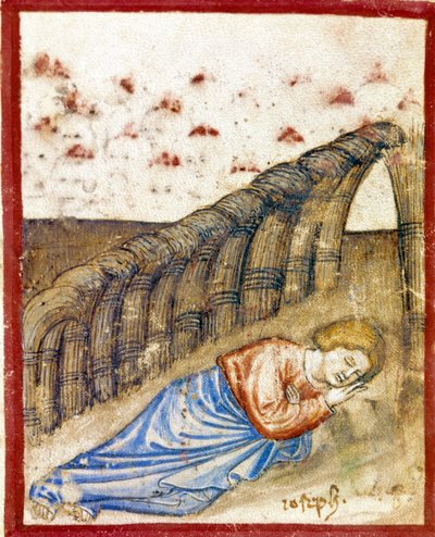 رؤية جوزيف ، ابن يعقوب المصغر مأخوذة من مجلد 212 (أو كود بادوفانو أو الكتاب المقدس لبادوا) 1390-1400 روفيغو ، أكاديميا دي كونكوردي بواسطة فنان غير معروف
