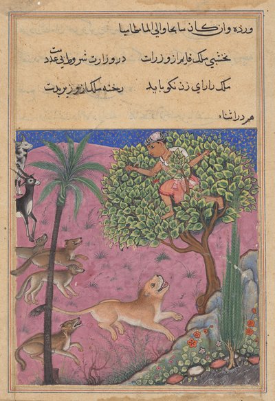 الذئب وابن آوى ، بمثابة وزراء ، يحرض الأسد الذي يلاحق البراهمان فوق شجرة ، من توتي ناما (حكايات ببغاء): الليلة الحادية والعشرون بواسطة فنان غير معروف