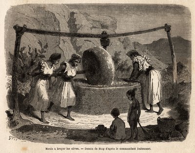 عمل نسائي ، طحن زيتون ، أحد المنتجات الزراعية الرئيسية في دجورة (الجزائر). نقش لتوضيح الرحلة إلى Kabilie العظيمة ، بين البحر الأبيض المتوسط و Djurjura ، في عام 1864 ، بواسطة القائد Duhousset ، في "" Le tour du mo بواسطة فنان غير معروف
