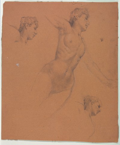 رسم بواسطة فنان غير معروف