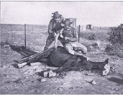 A narrow escape. A wounded scout who has had his horse shot from under him, from After Pretoria: The Guerilla War published by Harmsworth Bros Limited بواسطة مصور غير معروف