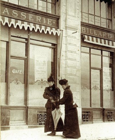 إليزابيث، إمبراطورة النمسا وقرينة ملكة المجر (24 ديسمبر 1837 - 10 سبتمبر 1898) (صورة فوتوغرافية) بواسطة مصور غير معروف